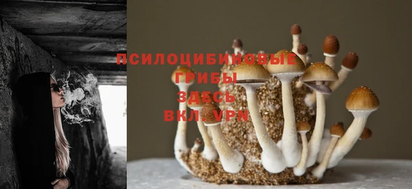 гашиш Ладушкин